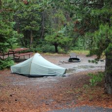 Grant Village Campground