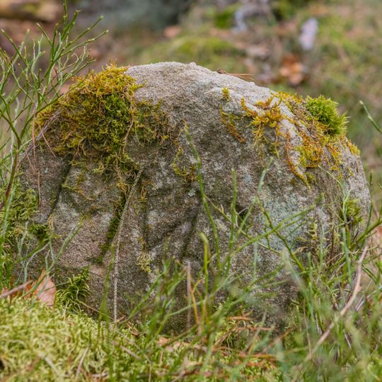 Grenzstein Fürther Stadtwald in Fürth
