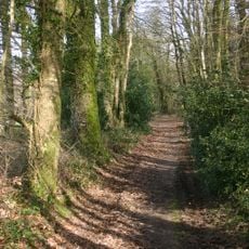 Forêt de Quénécan