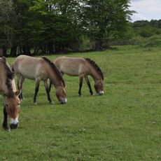 Naturschutzgebiet Hohe Warte bei Gießen
