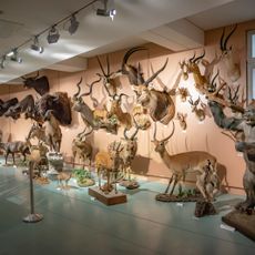 Muséum d'histoire naturelle de Tours