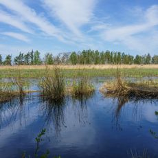 Rostock Heath