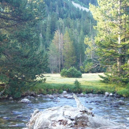 Planell de la Molina