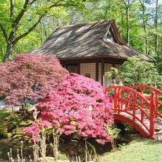 Landgoed Clingendael: inrichting van de Japanse tuin