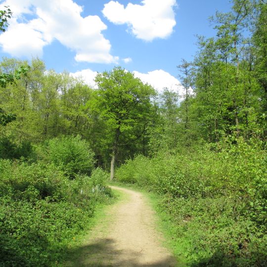 LSG-Duisburger Stadtwald mit den Bereichen "Witzberg","Monning","Wolfsberg","Am Stein","Eselsbruch","Nachtigallental","Uhlenhorst"