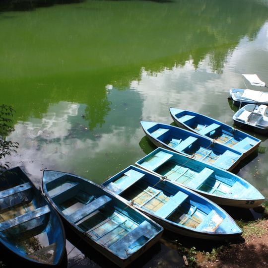 El Bosque de las Truchas