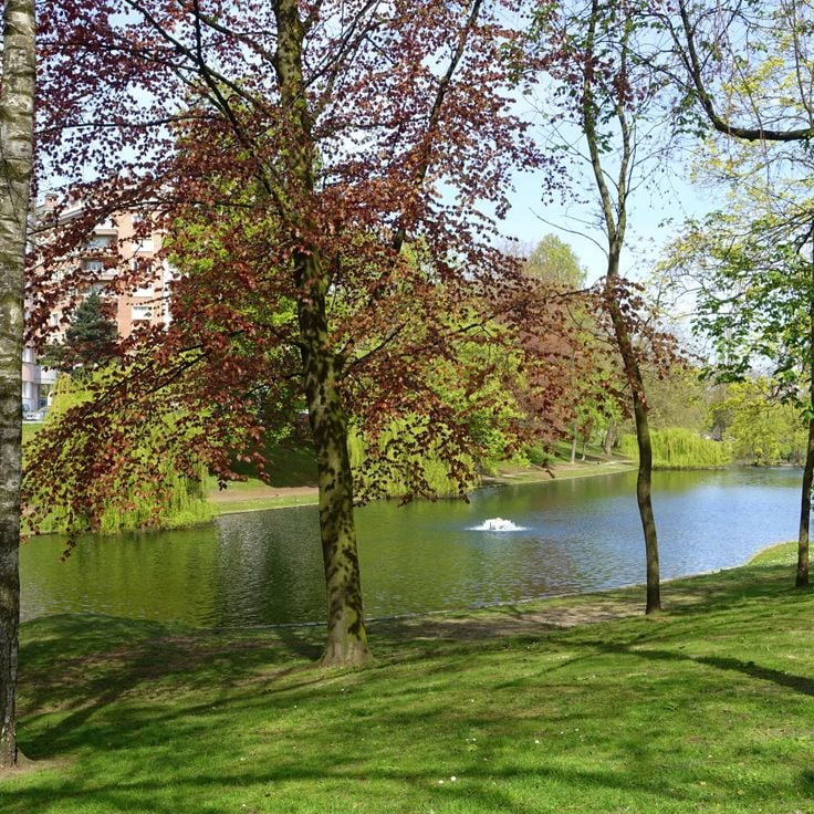 Ixelles Ponds