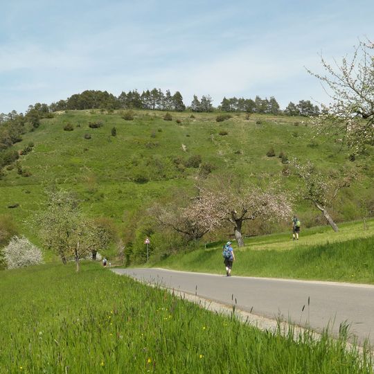 Trockenhänge bei Böttigheim
