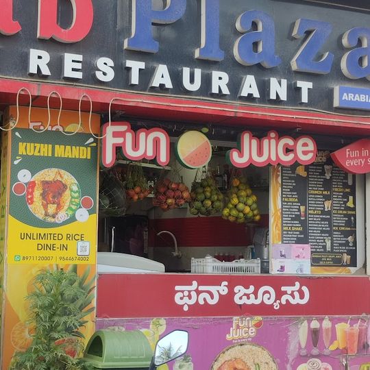 New Kabab Plaza