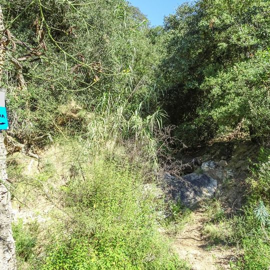 Font de la Salamàndria