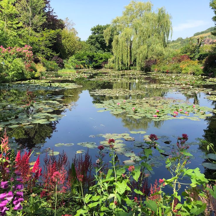 Le jardin d’eau