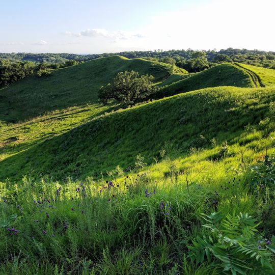 Hitchcock Nature Center