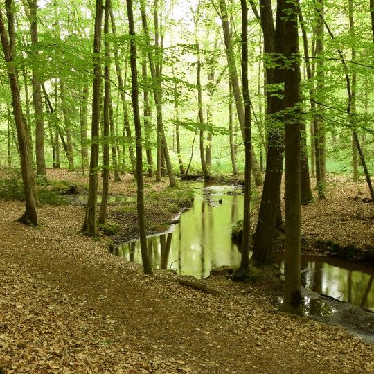 Schierbruch und Forellenbachtal