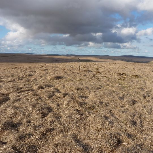 Priddellau [Esgair Nantybeddau]