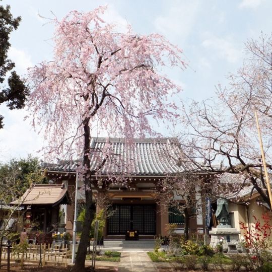 Hōya