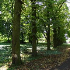 Manor park in Kotomierz