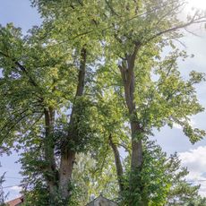 Kaplička v Nové Vsi u Mlýnského rybníka