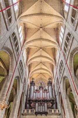 Interior 4