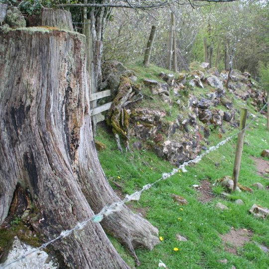 Hadrian's Wall and vallum between Banks Green Cottage and the road to Lanercost at Banks and the road to Garthside in wall miles 52, 53 and 54