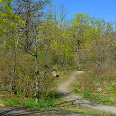 Sickla park