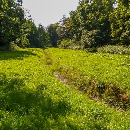 Wald-, Moor- und Heidelandschaft der Fröruper Berge und Umgebung