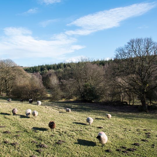 Hedleyhill Colliery coke works, 500m south west of Hazlet House