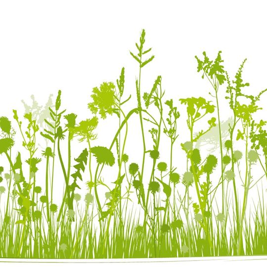 Kräutervitalbad Sebnitz