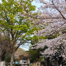 日野市市民の森スポーツ公園