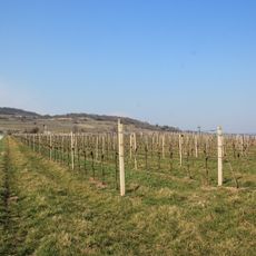 Naturschutzgebiet Eichkogel