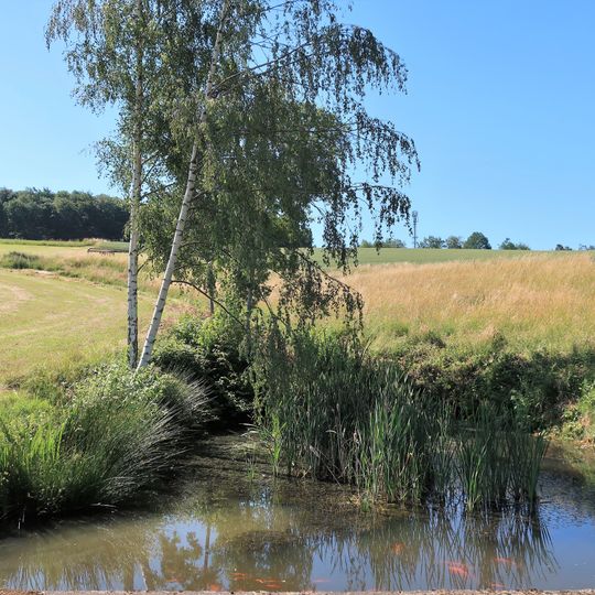 Feuchtgebiet Kattenohl