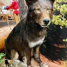 Marquette Regional History Center