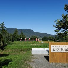 Nagurumi Castle