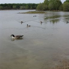Woorgreens Lake and Marsh