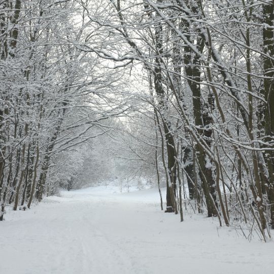 Ehemaliger Mauerstreifen, Schönholzer Heide und Bürgerpark