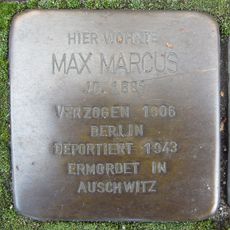 Max Marcus