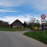 Wallenried