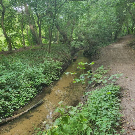 Loemühlenbachtal