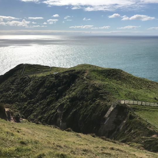 Wharariki Ecosanctuary