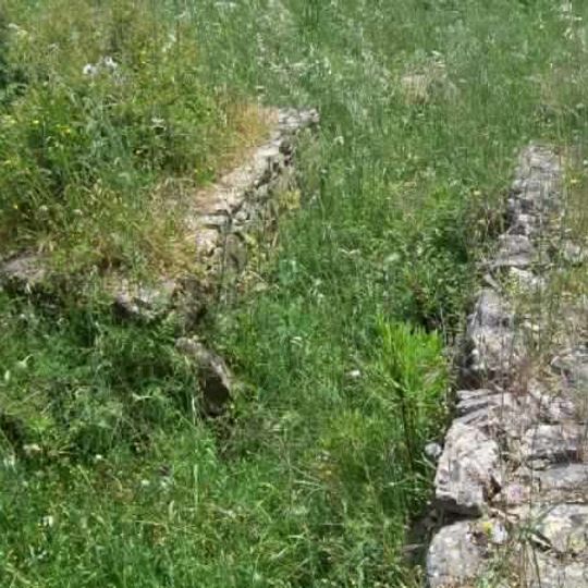 Tempio di Demetra e Kore