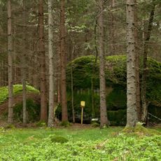 Wilde Jagd ("Wild hunt")