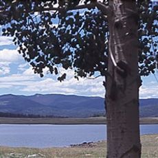 Big Lake