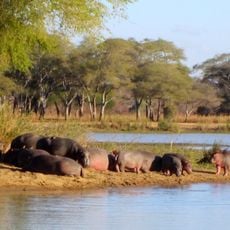 Vwaza Marsh Game Reserve