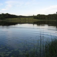 Valgjärv