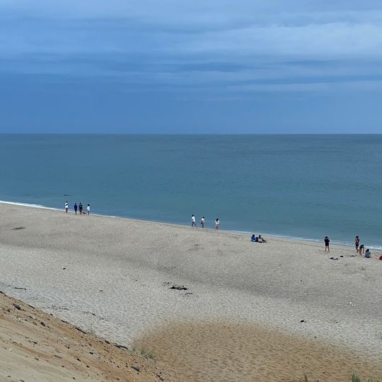 Maguire Landing Beach
