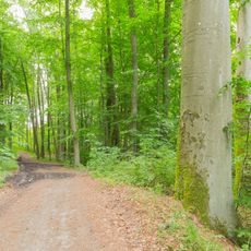 Jameler Wald, Tressower See und Moorsee