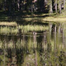 Siesta Lake
