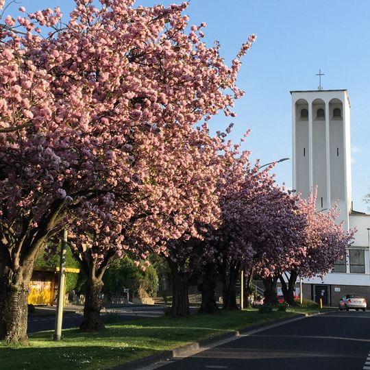 Evangelische Erlöserkirche
