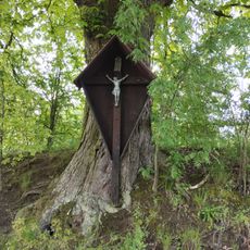 Kříž na stromě u Poněšické obory
