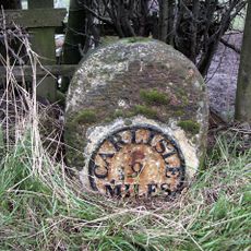 Milestone North Of Sandbed At Ngr 371695