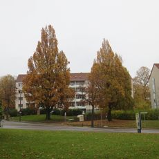Zwei Pyramideneichen & Gedenkstein, Stephanplatz Chemnitz-Kaßberg